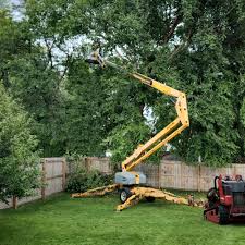 Best Tree Trimming and Pruning  in La Riviera, CA